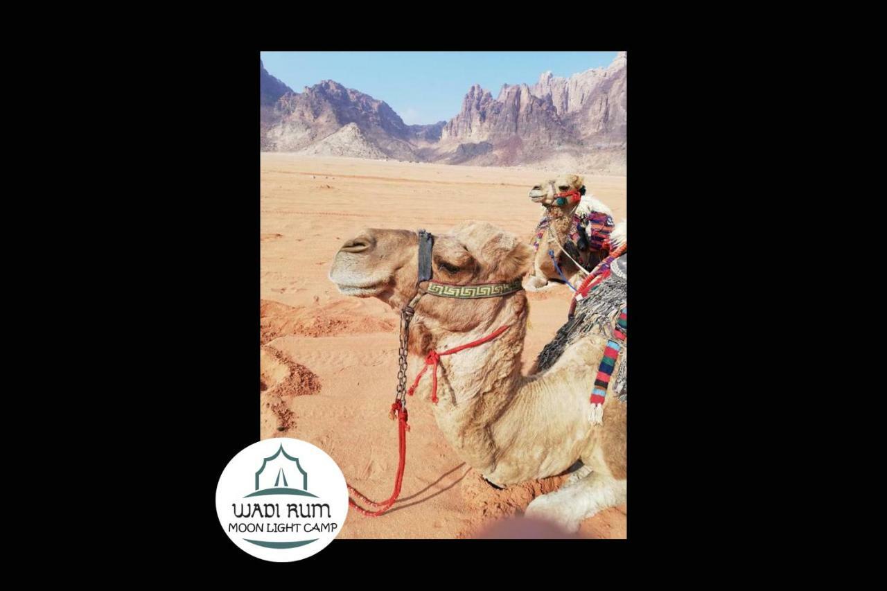 Wadi Rum Moon Light Camp Ngoại thất bức ảnh